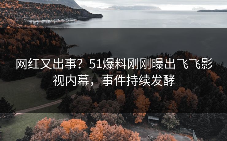 网红又出事？51爆料刚刚曝出飞飞影视内幕，事件持续发酵