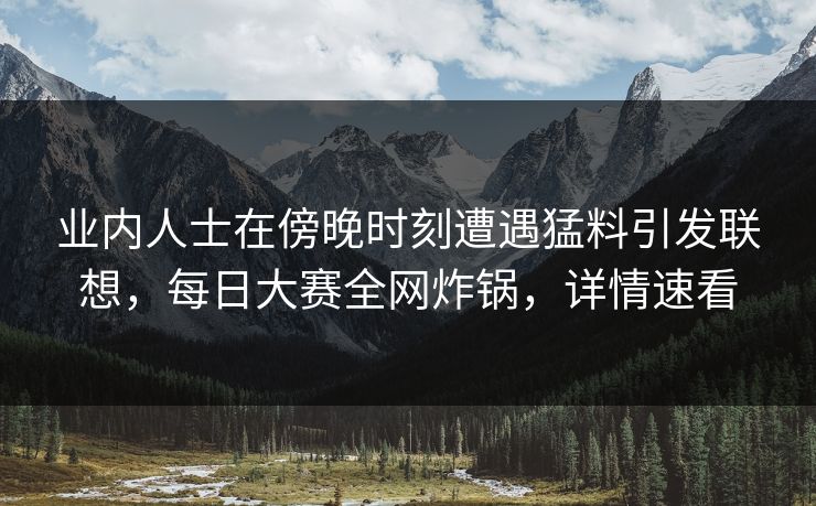 业内人士在傍晚时刻遭遇猛料引发联想,每日大赛全网炸锅,详情速看