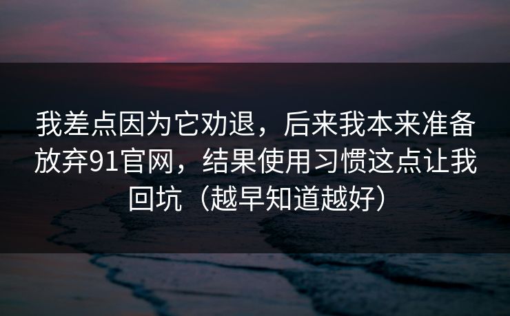 我差点因为它劝退，后来我本来准备放弃91官网，结果使用习惯这点让我回坑（越早知道越好）